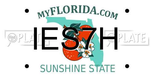 IES7H Florida License Plate