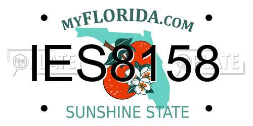 IES8158 Florida License Plate
