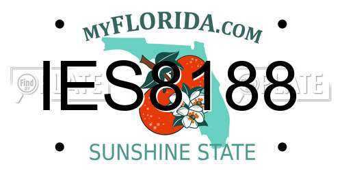 IES8188 Florida License Plate