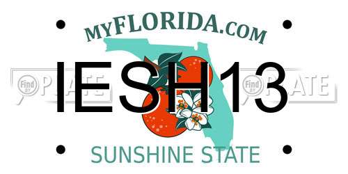 IESH13 Florida License Plate