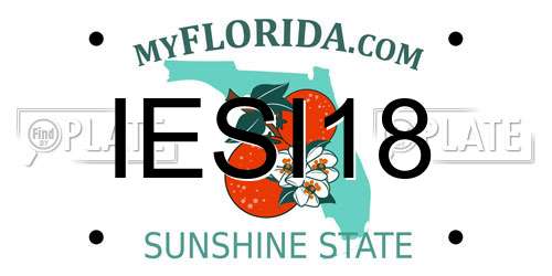 IESI18 Florida License Plate