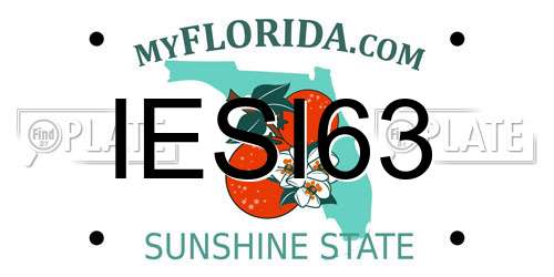 IESI63 Florida License Plate