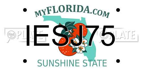 IESJ75 Florida License Plate
