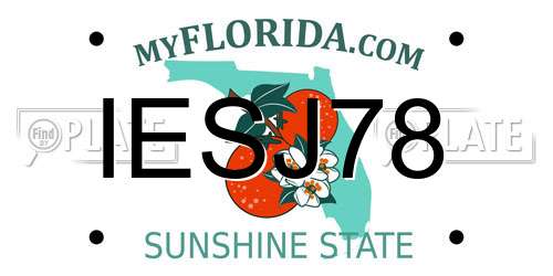 IESJ78 Florida License Plate