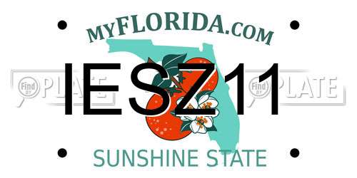 IESZ11 Florida License Plate