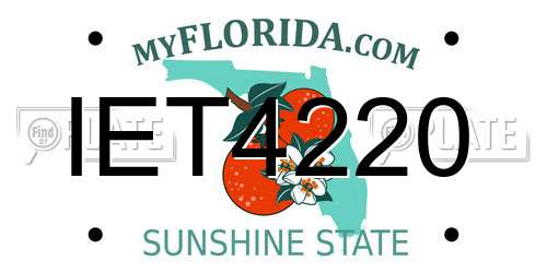 IET4220 Florida License Plate