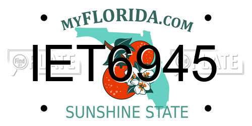 IET6945 Florida License Plate