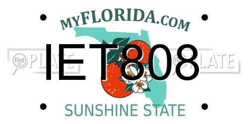 IET808 Florida License Plate