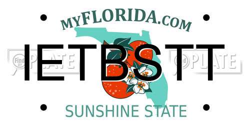 IETBSTT Florida License Plate