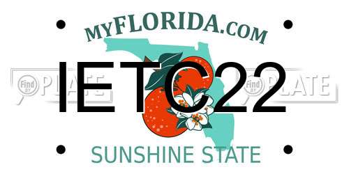 IETC22 Florida License Plate