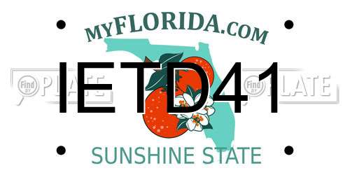 IETD41 Florida License Plate