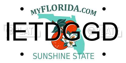 IETDGGD Florida License Plate