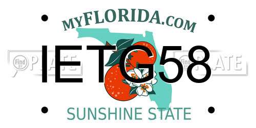 IETG58 Florida License Plate