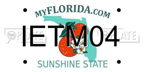 IETM04 Florida License Plate