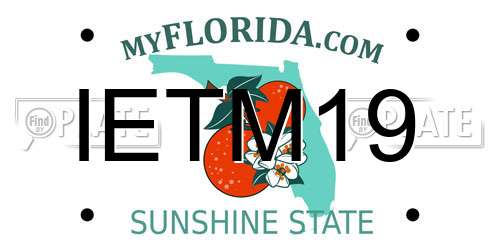 IETM19 Florida License Plate