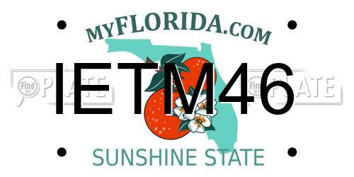 IETM46 Florida License Plate