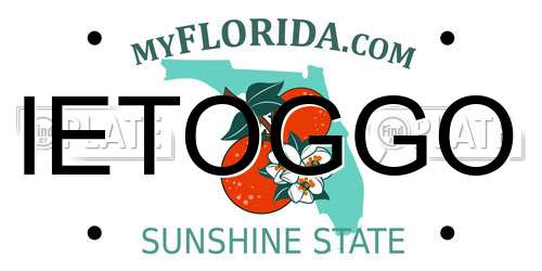 IETOGGO Florida License Plate