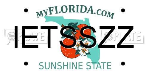 IETSSZZ Florida License Plate