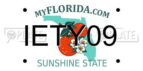 IETY09 Florida License Plate
