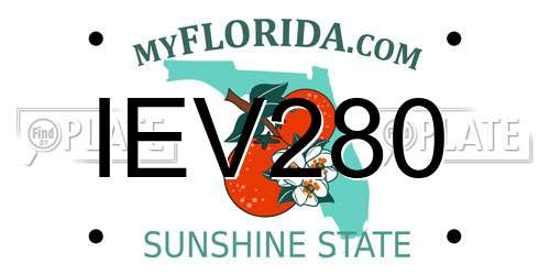 IEV280 Florida License Plate