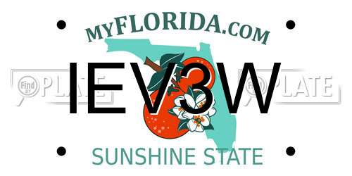 IEV3W Florida License Plate