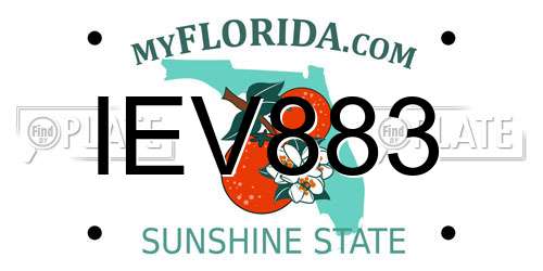 IEV883 Florida License Plate