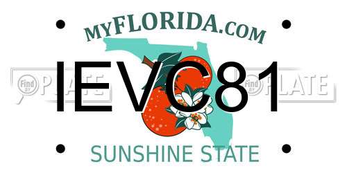 IEVC81 Florida License Plate