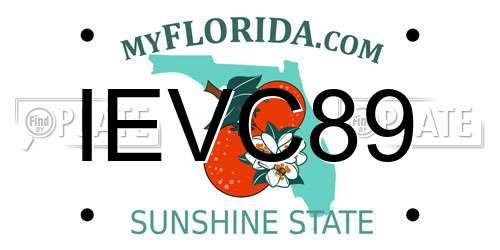 IEVC89 Florida License Plate