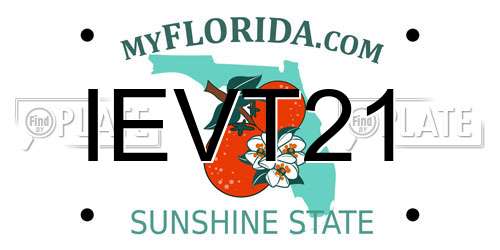 IEVT21 Florida License Plate