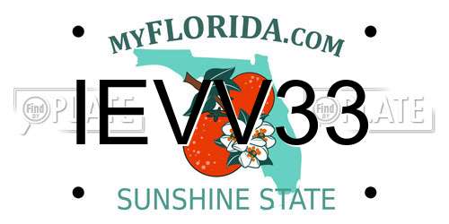 IEVV33 Florida License Plate