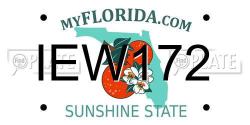 IEW172 Florida License Plate