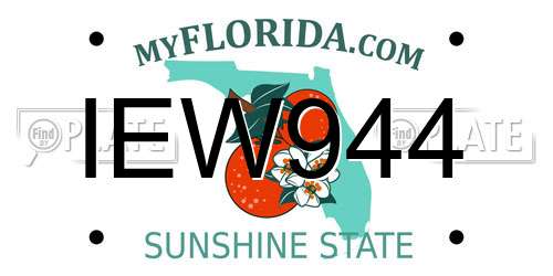 IEW944 Florida License Plate
