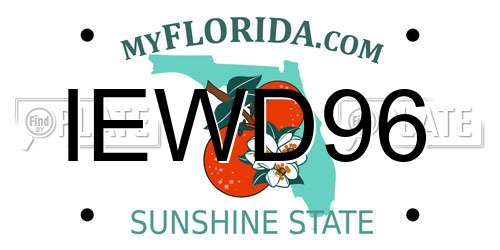IEWD96 Florida License Plate