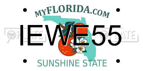 IEWE55 Florida License Plate