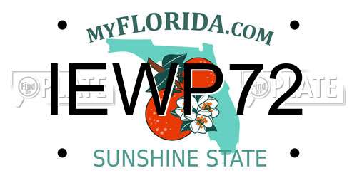 IEWP72 Florida License Plate