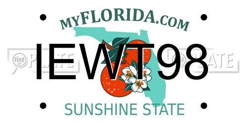 IEWT98 Florida License Plate