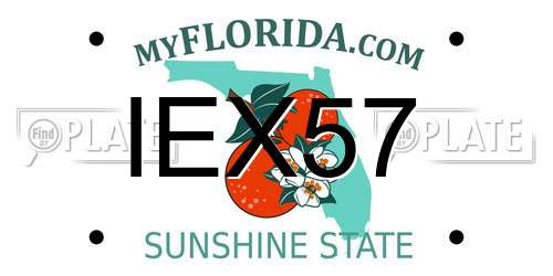 IEX57 Florida License Plate