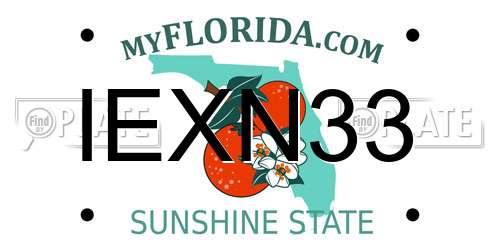 IEXN33 Florida License Plate