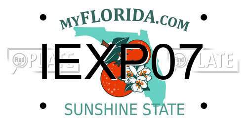 IEXP07 Florida License Plate