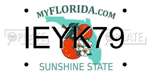 IEYK79 Florida License Plate