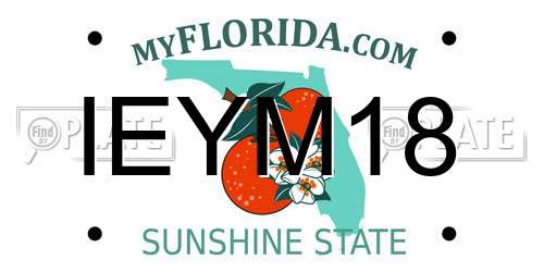 IEYM18 Florida License Plate