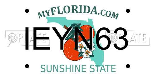 IEYN63 Florida License Plate