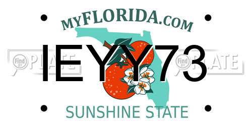 IEYY73 Florida License Plate