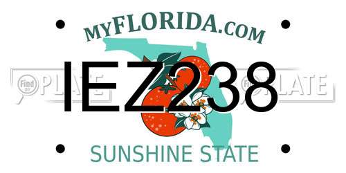 IEZ238 Florida License Plate