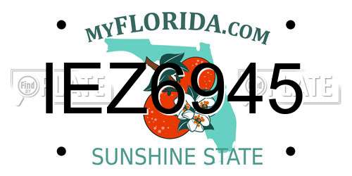 IEZ6945 Florida License Plate