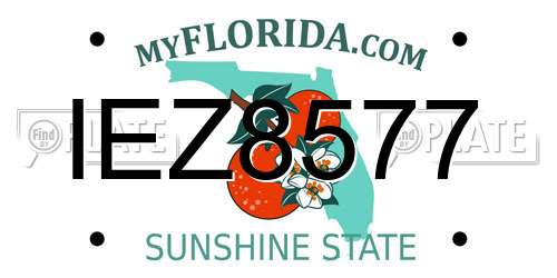 IEZ8577 Florida License Plate