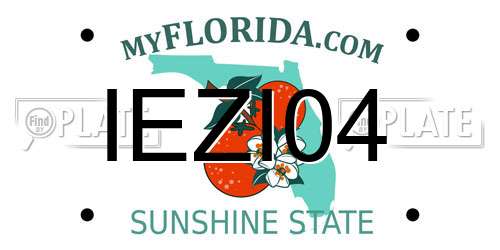 IEZI04 Florida License Plate