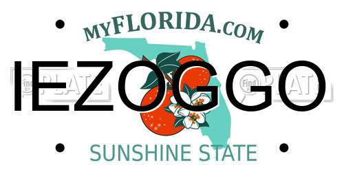 IEZOGGO Florida License Plate