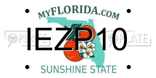 IEZP10 Florida License Plate
