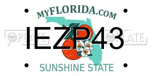 IEZP43 Florida License Plate